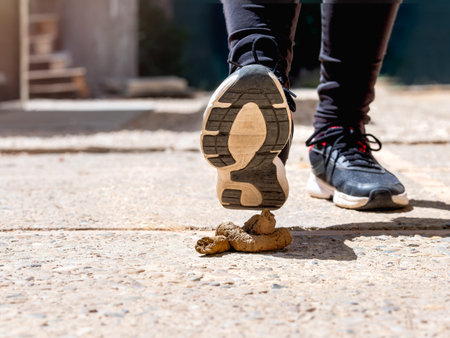 Unaware Step, Man Nearing Dog Poop on Sunny Street.