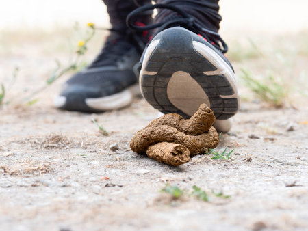 Unaware person Nearing Dog Poop on Ground