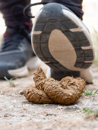 Unaware person Nearing Dog Poop on Ground