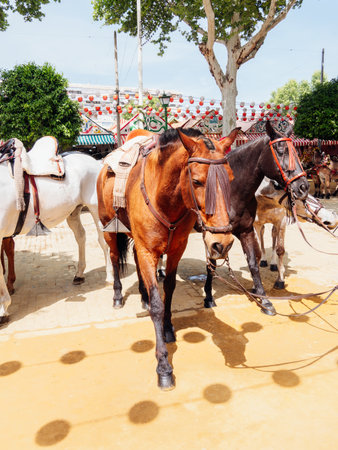 Elegant horses and riders at the vibrant Seville Fairの写真素材