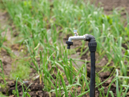 Irrigation tap in vegetable garden fieldの写真素材