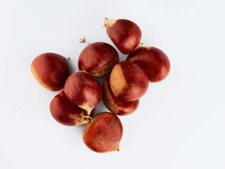 Pile of horse chestnut seeds isolated on white backgroundの写真素材