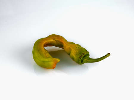 Green, red and yellow pepper isolated on white backgroundの写真素材