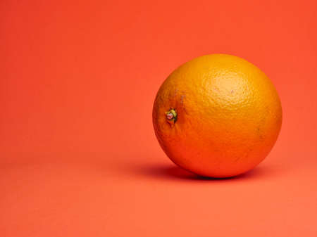 fresh orange on vibrant, monochromatic, orange backgroundの写真素材