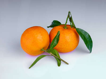 two fresh organic mandarins with green leaves on a white background. Tangerinesの写真素材
