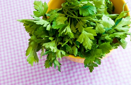 Fresh Herbs:   Coriander の写真素材