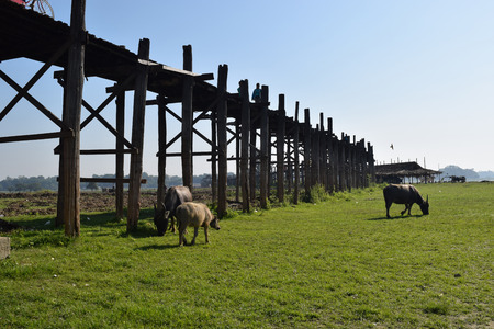 U Bein Bridge in Amarapura, Mandalay, Myanmarの写真素材