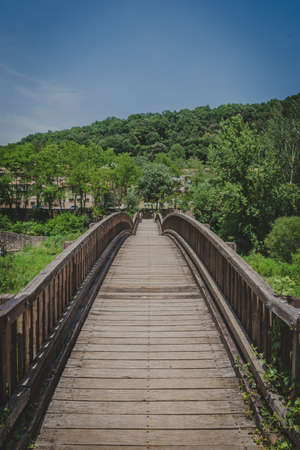 wooden path with trees and a blue skyの写真素材
