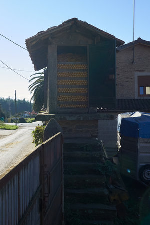 Old storage space typical of Galicia filled with harvested cornの写真素材