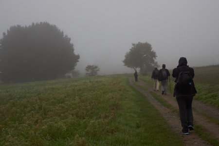 People with their backs turned walking along a foggy track surrounded by trees and grass.の写真素材