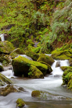 River in the Fragas do Eume, Galicia, Spainの写真素材