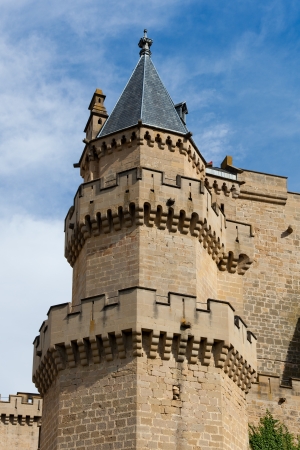 Olite castle, Navarra, Spainのeditorial素材