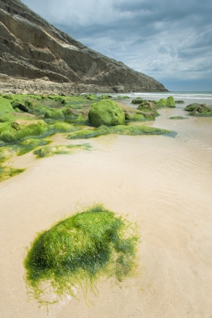 Beach of Llanes, Asturias, Spainの写真素材