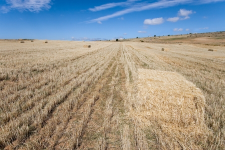 Bales of wheat, Sepulveda, Segovia, Castilla y Leon, Spain