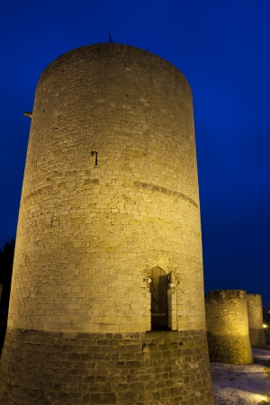 Castle of Dourdan, Essonne, Ile de France, Franceのeditorial素材