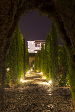 View of La Alhambra, Granada, Andalucia, Spainのeditorial素材