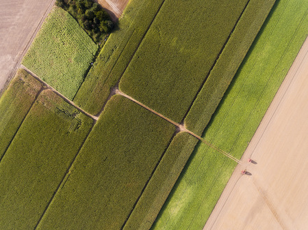 Shapes in the field, Richarville, Essonne, France