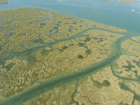 Ria Formosa natural park, Faro, Algarve, Portugalのeditorial素材