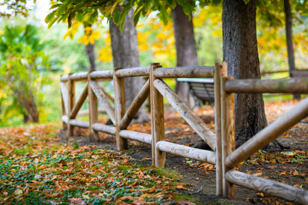 Decorative wooden fence in a public park.の写真素材