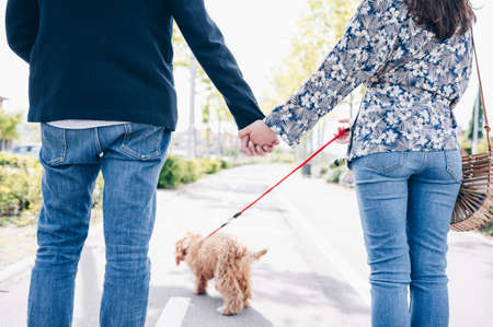 Young couple with their hands interlaced walking their adorable puppyの写真素材