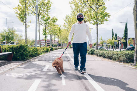 Middle-aged man wearing a sanitary mask walks his dog in the street on a sunny day. Love pets conceptの写真素材