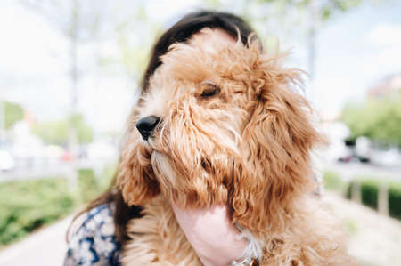 Caucasian woman looking happily at her little dog. Copy space. Love for animal concept.の写真素材