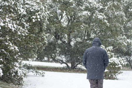 Lonely man walking in natural landscape under snow storm.Copy space