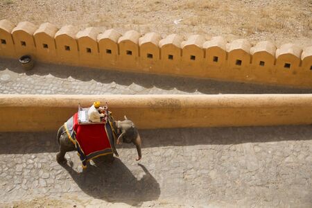 elephant at amber fort, jaipurの写真素材