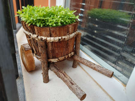 Wooden pot with small carnation stems in the shape of a carriageの写真素材