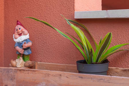 potted green plant and a garden dwarf. Decorative conceptの写真素材