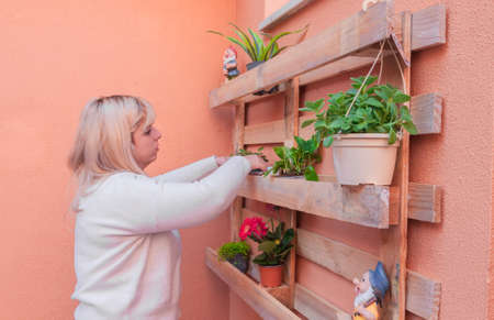 blonde woman putting pots of flowers on a palletの写真素材