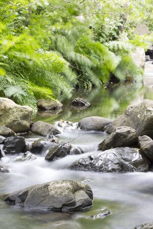 Silk River stream in the forestの写真素材