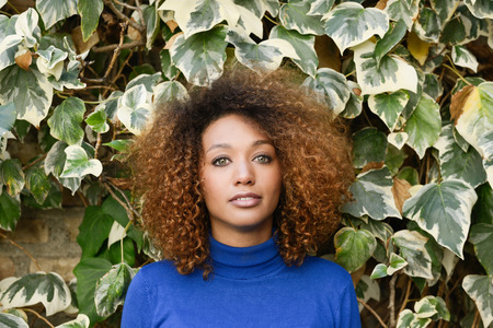 Beautiful young African American woman, model of fashion, with afro hairstyle and green eyes wearing blue sweater against leaves wallの写真素材