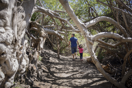 Father and little daughter walking on a path of in a wetland in Padul, Granada, Andalusia, Spainの写真素材