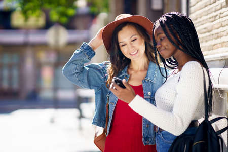 Two friends looking at their smartphone together. Multiethnic women.の写真素材