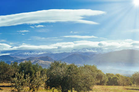 Sierra Nevada as seen from the olive groves in the Llano de la Perdiz in Granadaの写真素材