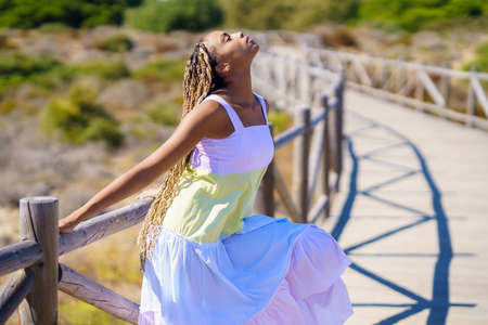 African American female in stylish dress with long braids leaning on railing of boardwalk with...