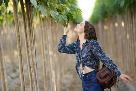 In a vibrant and lush vineyard, a woman stands gracefully amidst the green vines, embodying natures pure essence and offering peace and tranquility in this picturesque and serene locationの写真素材