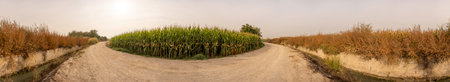 A serene and tranquil rural scene unfolds, highlighting a peaceful gravel road that gracefully...