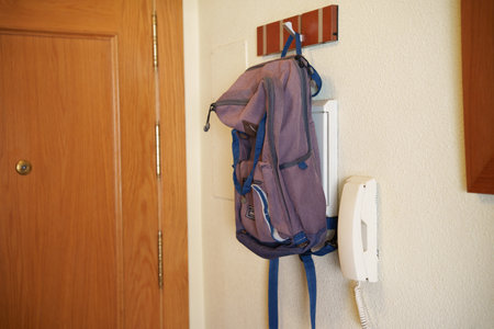 Entryway clutter style, Casual hallway organized decoration, Cozy entry space adorned with assorted...