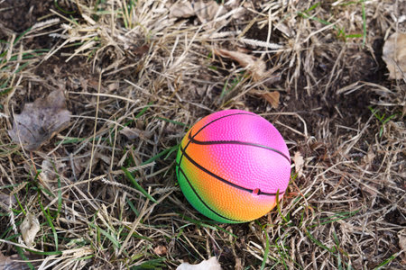 Vibrant neon basketball on dry grass, textured rubber with rainbow stripes, scattered brown leaves, soft afternoon shadow, abandoned toy conveying playfulの写真素材