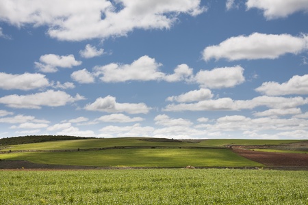 green field and cloudsの写真素材