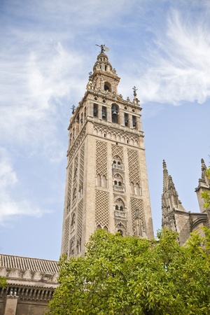 Seville's cathedralの写真素材