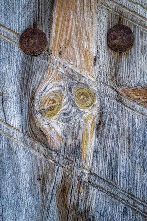 face of a fantastic being on the texture of an old wooden door with two nails, pareidolia on a door, verticalの写真素材