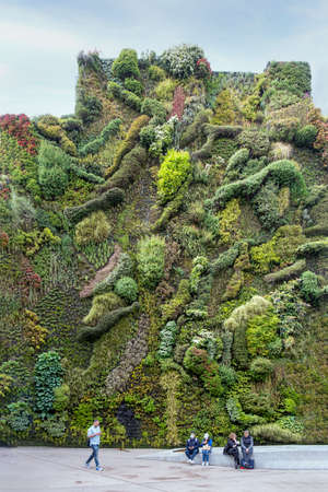 vertical garden on the facade of a building in Madrid, botanical garden with different species of plants, some tourists stroll and rest, verticalのeditorial素材