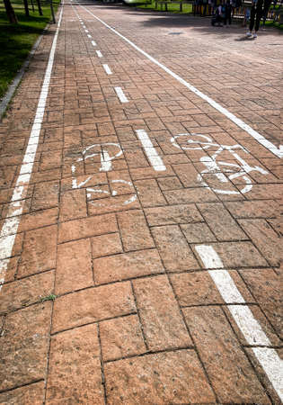 lines of a bicycle lane on an orange paved ground on a pedestrian walkway with gardens on the sides, vanishing lines, verticalの写真素材