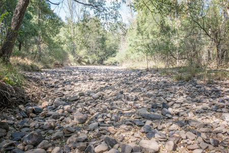completely dry riverbed, drought problem, global warming and climate change, lack of rainfall, desertification, boulders or pebbles in a dry river bed, verticalの写真素材