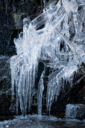 close up of an icicle in a small waterfall formed on small twigs of vegetation, small waterfall of icy water on a cold winter day, verticalの写真素材