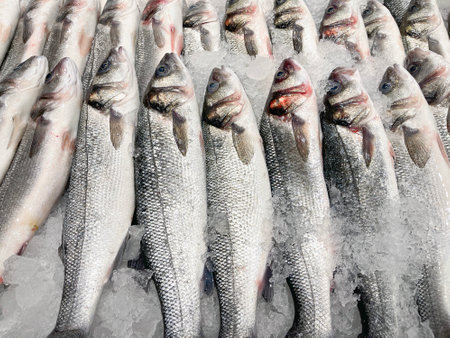 close up of a fish market display with freshly caught seabass covered with powdered ice for preservationの写真素材