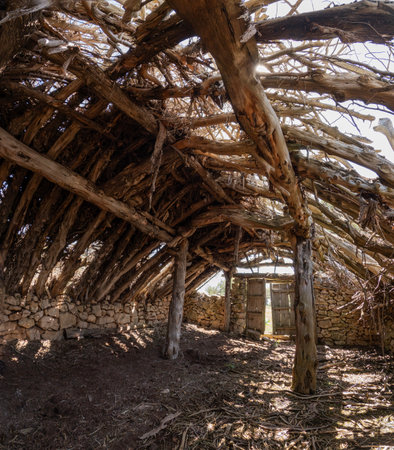 Angular view of the interior of an old livestock shelter, with a collapsed wooden beam roof, a ruin door at the background, chozon sabinero, ancient rural constructions, horizontalの写真素材